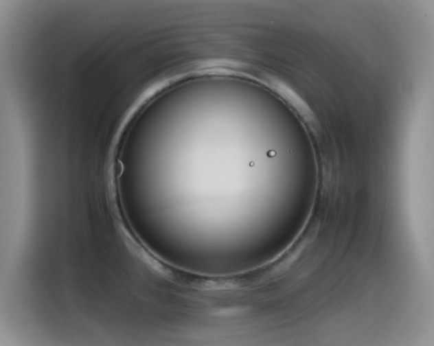 X0000115541384200911061451