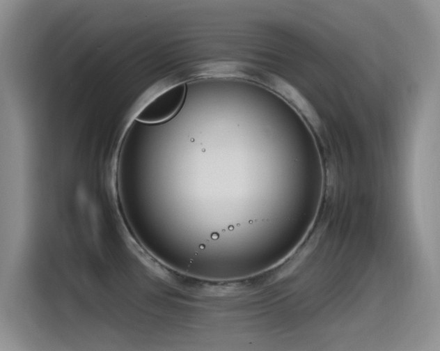 X0000115541386200911061451