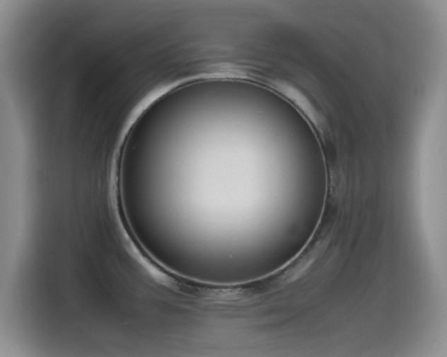 X0000115541387200911061451