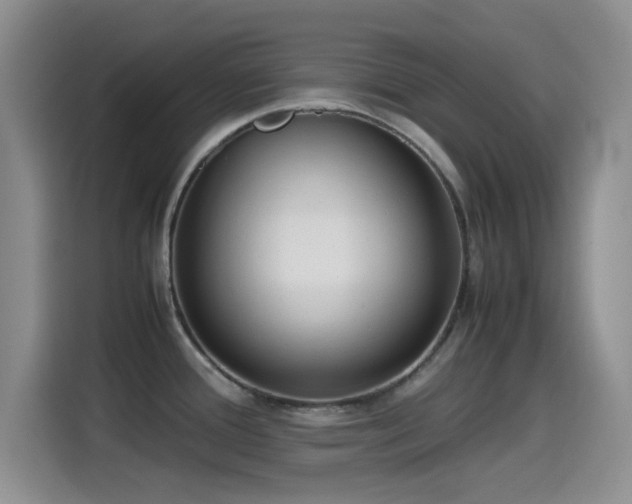 X0000115541388200911061451