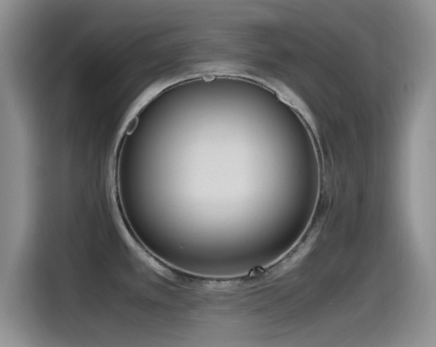 X0000115541389200911061451