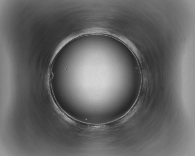 X0000115541390200911061451