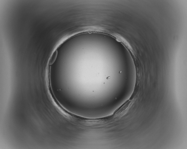 X0000115541391200911061451