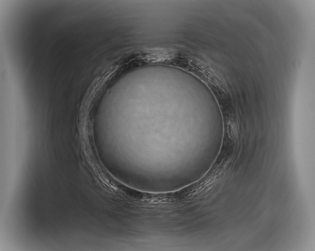 X0000115541393200911061451