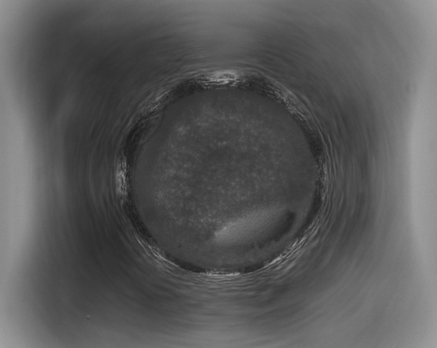 X0000115541394200911061451