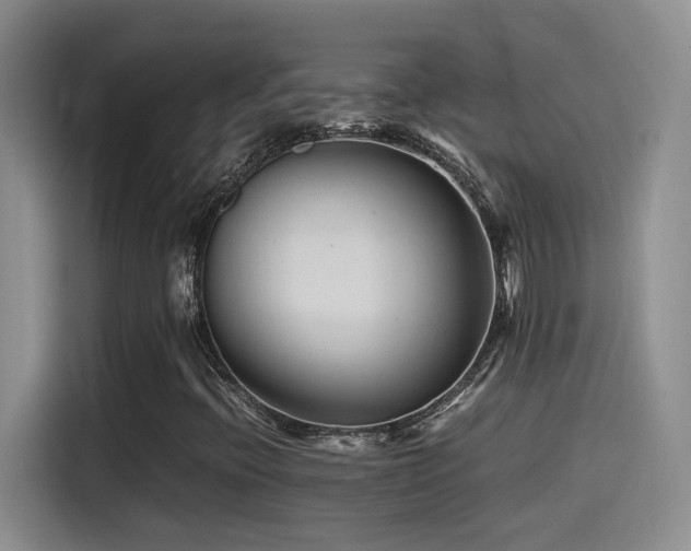 X0000115541396200911061451