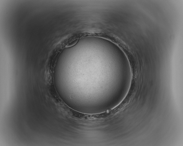 X0000115541398200911061451