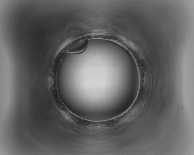 X0000115541400200911061451