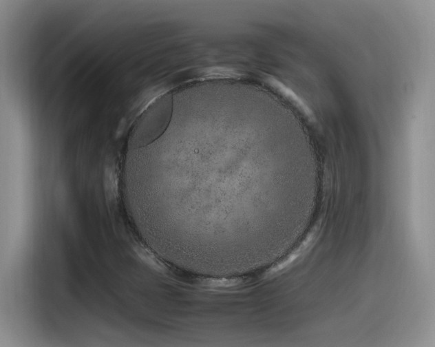 X0000115541401200911061451