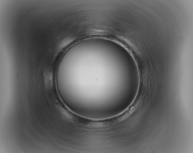 X0000115541402200911061451