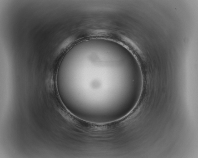 X0000115541403200911061451