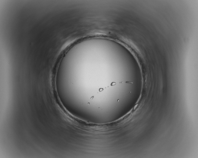 X0000115541404200911061451