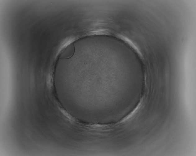 X0000115541405200911061451