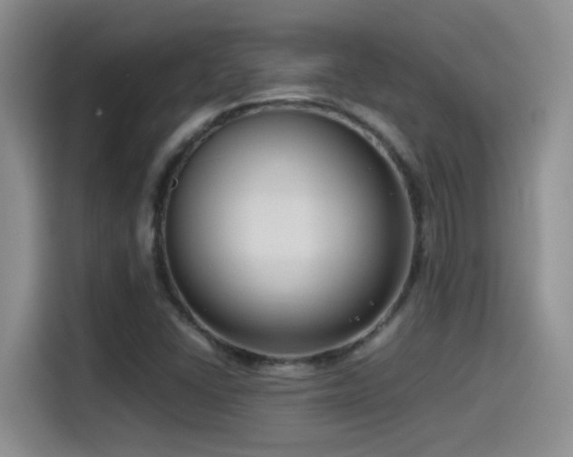 X0000115541406200911061451