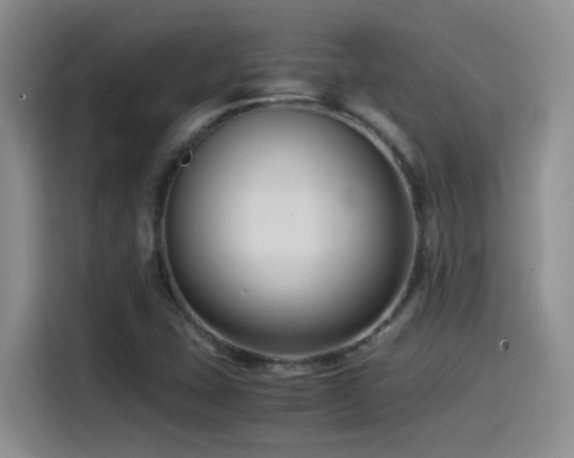 X0000115541407200911061451