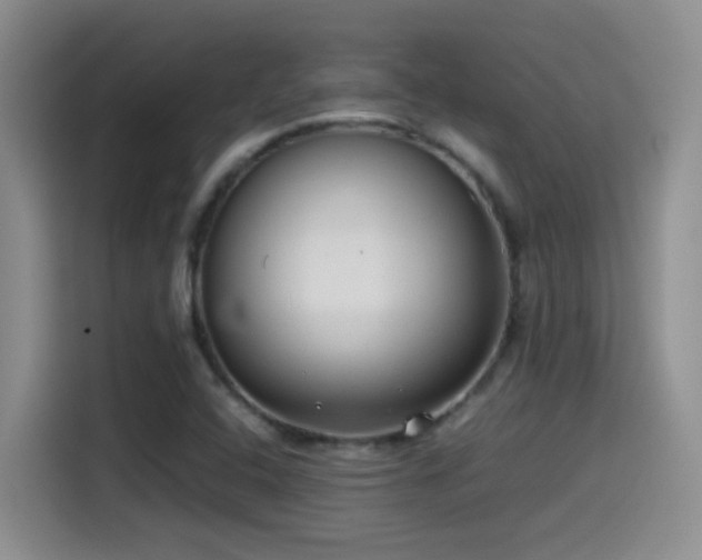 X0000115541408200911061451