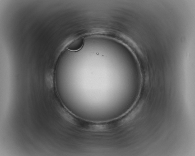 X0000115541409200911061451