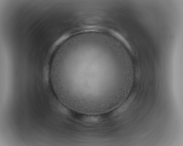 X0000115541411200911061451