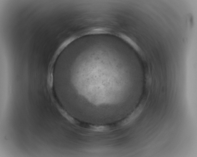 X0000115541413200911061451