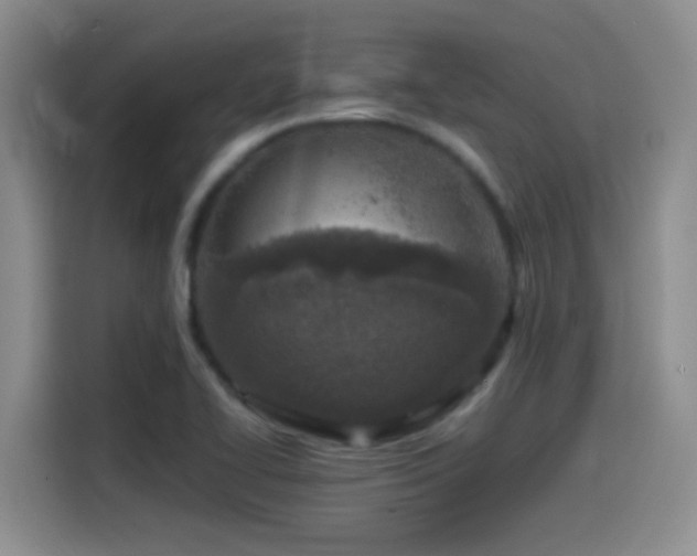 X0000115541414200911061451