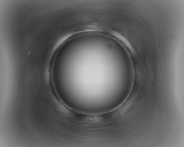 X0000115541415200911061451