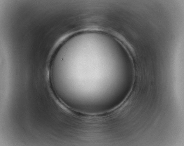 X0000115541416200911061451