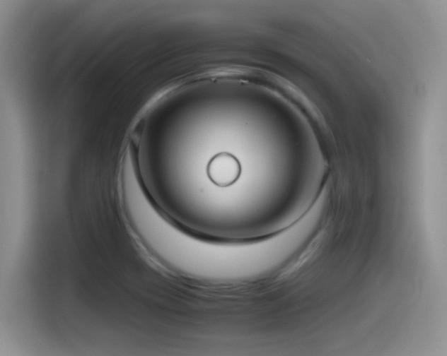 X0000115541417200911061451