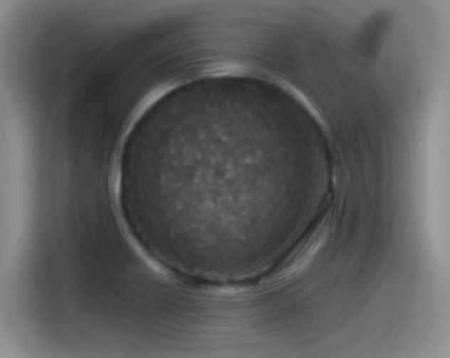 X0000115541418200911061451