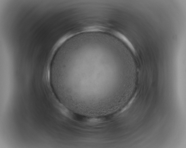 X0000115541419200911061451