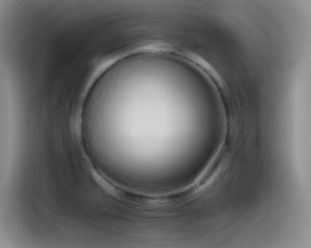 X0000115541421200911061451