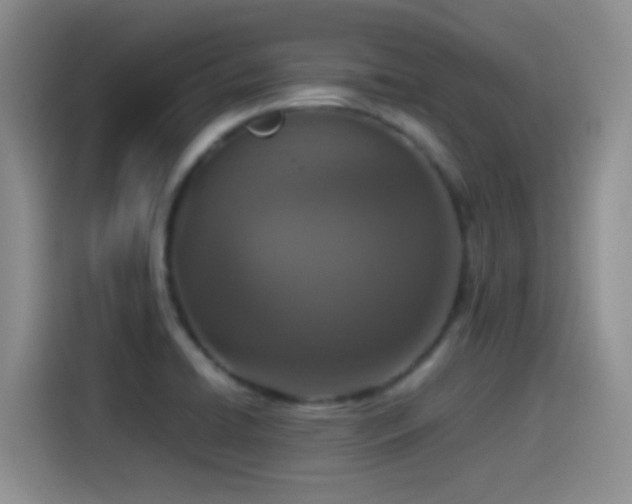 X0000115541422200911061451