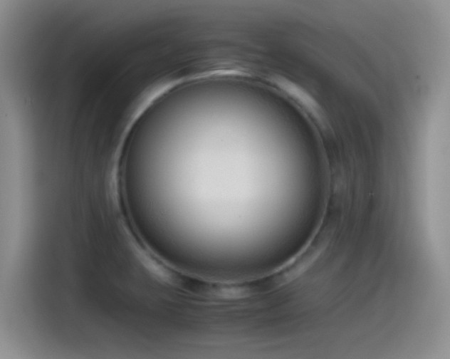 X0000115541423200911061451