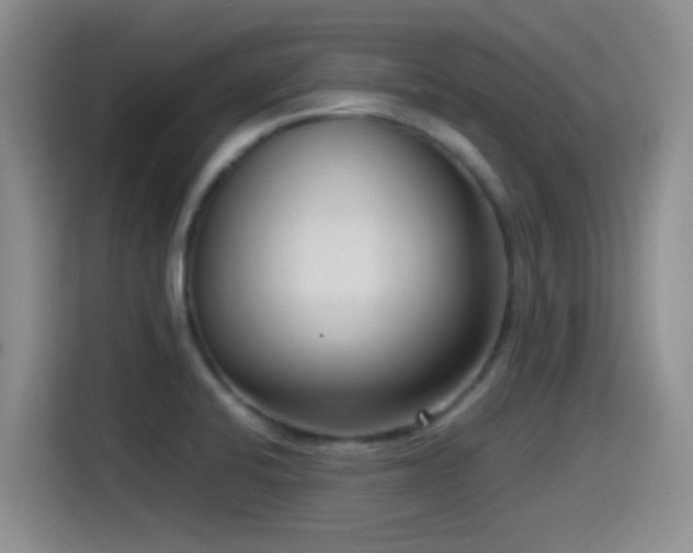 X0000115541424200911061451