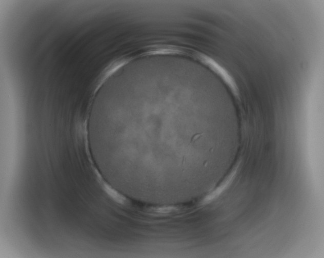 X0000115541425200911061451