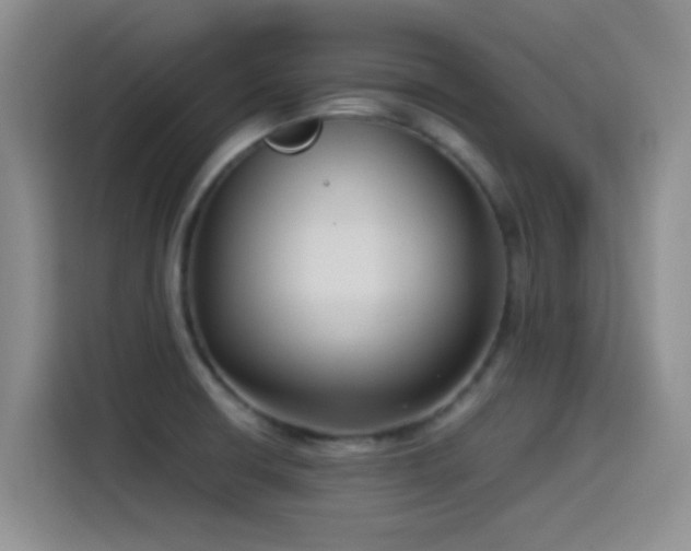 X0000115541426200911061451