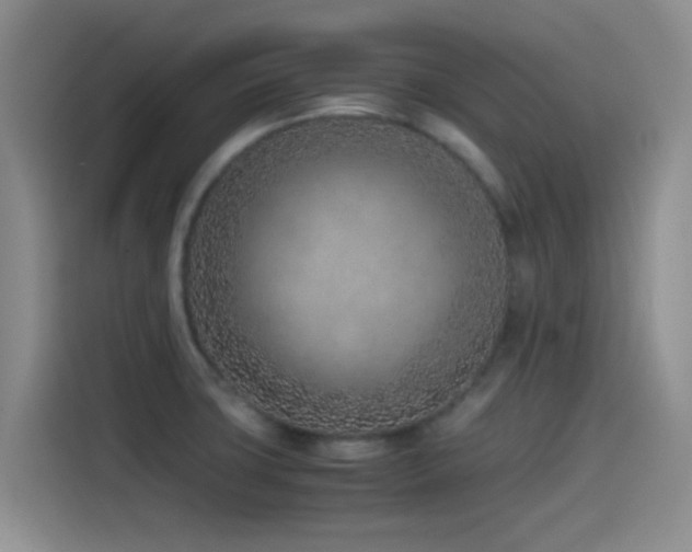 X0000115541427200911061451