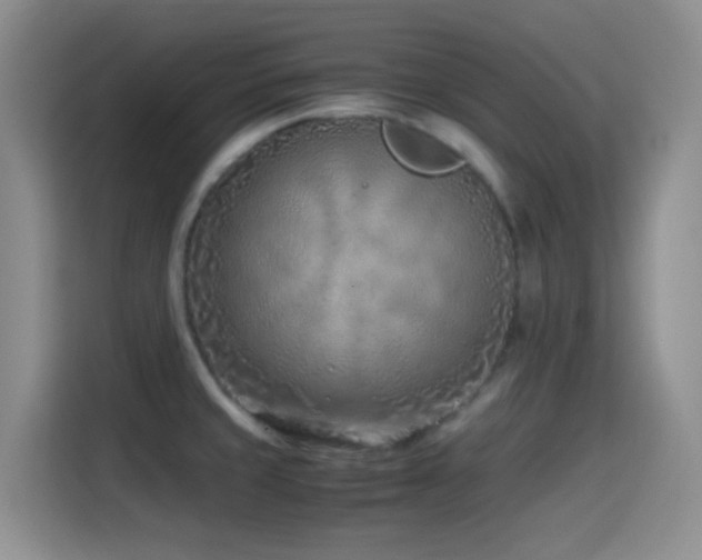 X0000115541429200911061451