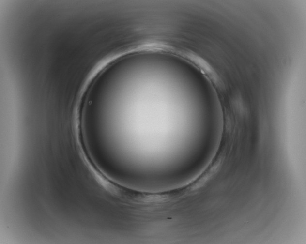 X0000115541430200911061451