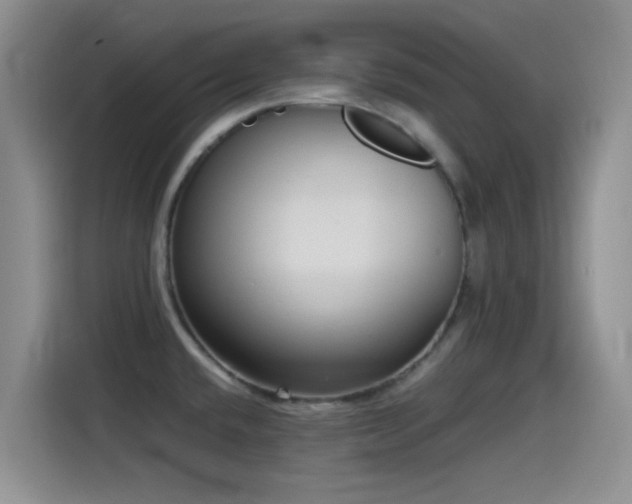 X0000115541432200911061451