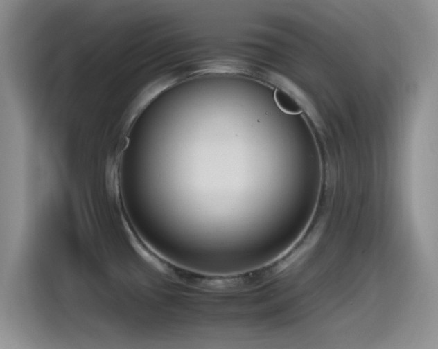 X0000115541433200911061451