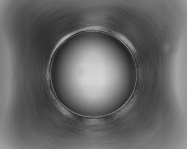 X0000115541436200911061451