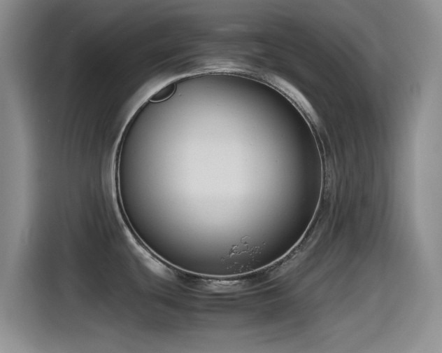 X0000115541439200911061451