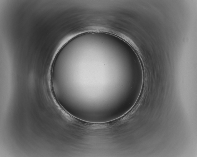 X0000115541440200911061451