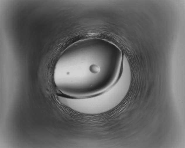 X0000115541441200911061451