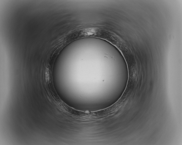 X0000115541442200911061451