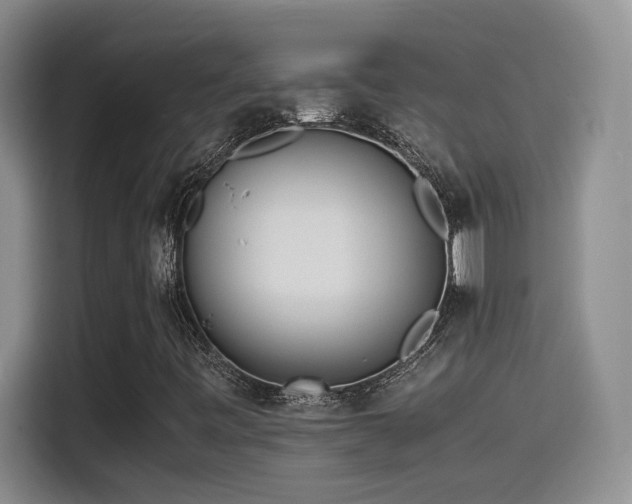 X0000115541443200911061451