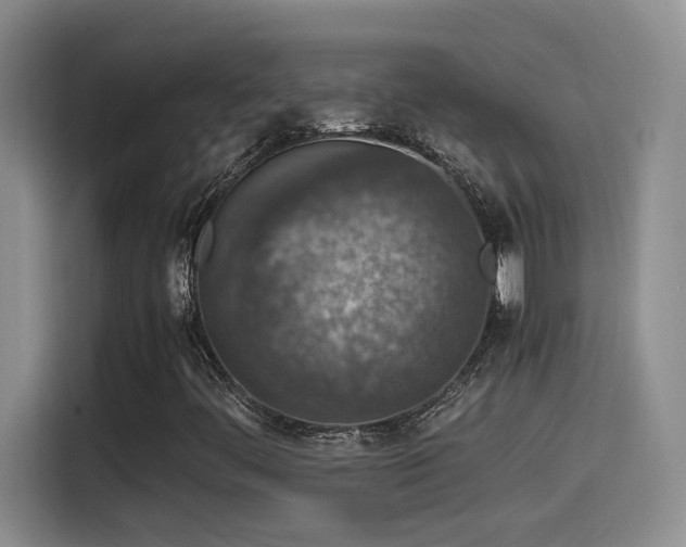 X0000115541444200911061451