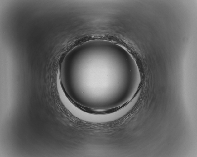 X0000115541445200911061451