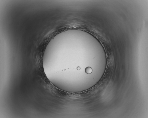 X0000115541446200911061451