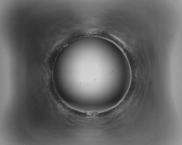 X0000115541447200911061451